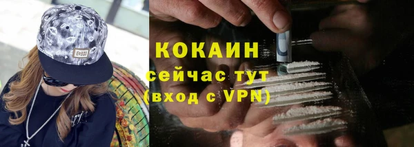 сатива Лабытнанги