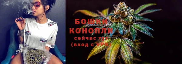 сатива Лабытнанги