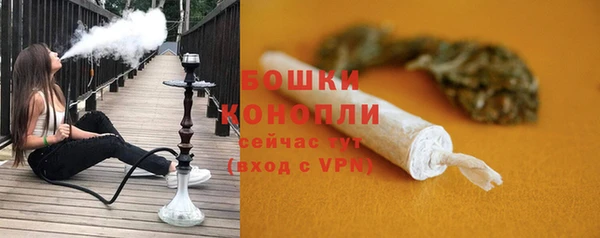 сатива Лабытнанги