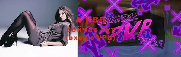 индика Киров