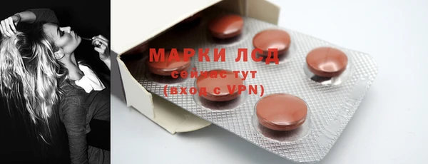 сатива Лабытнанги