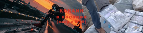 сатива Лабытнанги