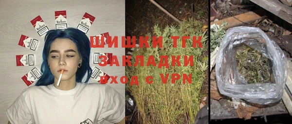 сатива Лабытнанги