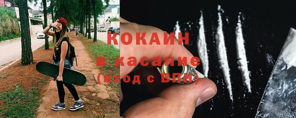 сатива Лабытнанги
