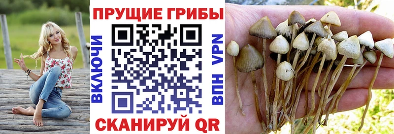 Галлюциногенные грибы мицелий  Щёлково 